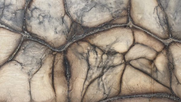 flintstone