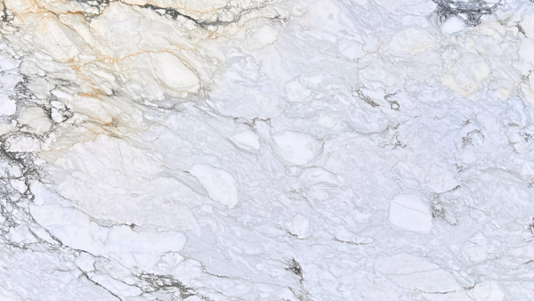 calacatta-cremo-gold-2